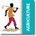 Dossier Agriculture de 2006.