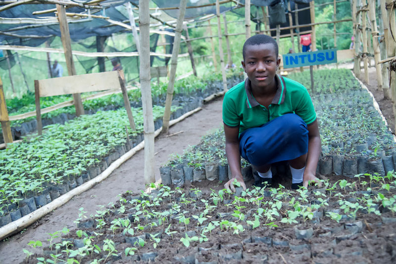 Jeune enfant portant un polo de couleur verte accroupi et entouré de petites plantes.