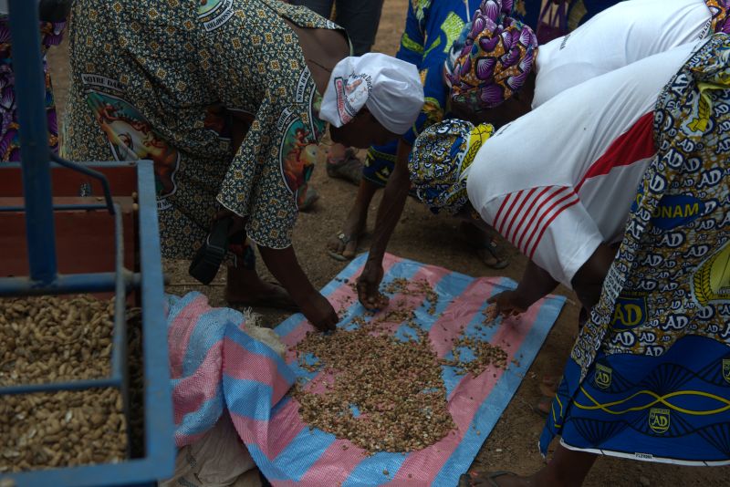 Femmes vêtues de tenues traditionnels, triant des grains Femmes vêtues de tenues traditionnels, triant des grains